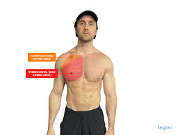Whenever you press something in front of you, they. The Best At Home Chest Workouts With Bodyweight Dumbbells Or Bands Fitnessnewsusa Workouts Helathy Foods Equipment