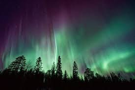 Polar Lights Over Trees Wallpaper Northern Lights Wallpaper Northern Lights See The Northern Lights