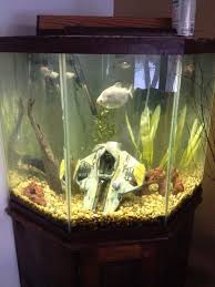 Pin By Frank Cain On Geeking Out Aquarium Kids Aquarium Fish Tank Themes