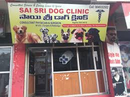 Today—thanks to the continuing evolution of modern medicine—our dogs and cats continue to live longer and healthier lives. Sai Sri Pet Clinic Pet Clinics Book Appointment Online Pet Clinics In Jyothi Nagar Karimnagar Justdial