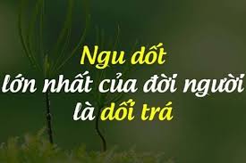 Hình ảnh có liên quan