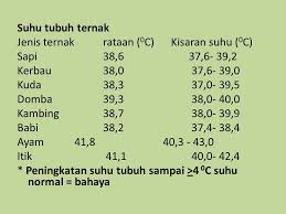 We did not find results for: Sistem Termoregulasi Dr Ir C Rachmawati Wahyuningsih Siswadi S U M Agr Sc Ppt Download