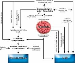 Schematic Diagram Summarizing The Contributing Factors In