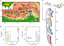 Download file pdf evolution by natural selection worksheet answers. Selection And Environmental Adaptation Along A Path To Speciation In The Tibetan Frog Nanorana Parkeri Pnas