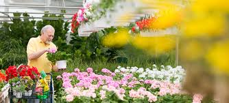 Maybe you would like to learn more about one of these? About Tlc Tlc Garden Centers