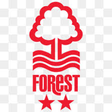 Rotherham united football club, nicknamed the millers, is a professional association football club based in rotherham, south yorkshire, england. Rotherham United Fc Png Free Download Flame Fire