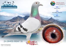 Lot 16 Cape Town Lofts-RIAAN LOUW TEAM VISION 2-ZA 22 BWES 00247 BB H–