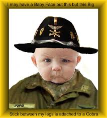 The Vietnam Army Helicopter Pilot