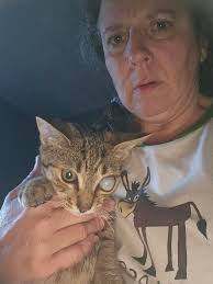 Tri-City's UNDERCOVER ANGELS Animal Network