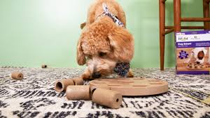 Plus, the nine removable treat compartments will keep pups busy for more than a few. Nina Ottosson Outward Hound Dog Puzzle Review Video