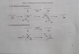 Oneclass: Questions: 1) In The Tests With Sodium Iodide In Acetone And Silver  Nitrate In Ethanol, Why...