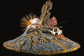 January 1995 Issue 14