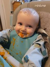 Baby Led Weaning