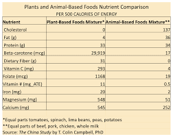 Plant Protein Vs Meat Protein Chart Google Search Veg