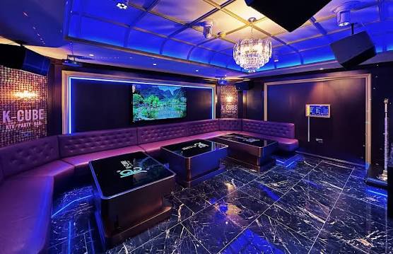 Premium Karaoke Bar Opening Hits The Right Notes | Merrion Centre