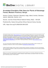 Image result for Diaphananthe lorifolia