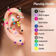 Piercingearringsideas Ear Peircings Ear Piercings Chart Peircings
