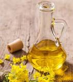 Who should not use mustard oil?
