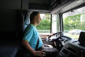 Free hgv vehicle inspection sheet template vivian.flatley december 10, 2019 templates no comments 21 posts related to free hgv vehicle inspection sheet template Truck Driver Wikipedia