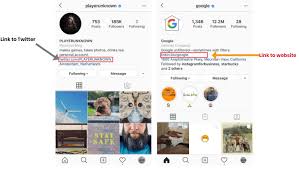 This may seem like a lot but with an average 5 characters for word, this is only 30 words. Instagram Profile Bio Ideas To Attract Followers In 2021