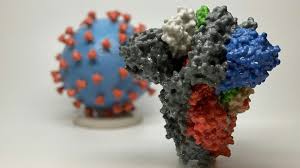 Maybe you would like to learn more about one of these? First Case Of South African Covid 19 Variant Found In B C Ctv News