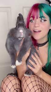 Megas carrott_cake bio carrott_cake boyfriend carrott_cake free carrott_cake ig carrott_cake leaked carrott_cake link leaked onlyfans of carrot cake. Carrotcakes Christinacarrotcakes Tiktok Watch Carrotcakes S Newest Tiktok Videos