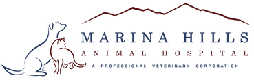 Is there a pet hospital in las vegas? Home