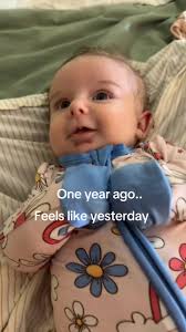 Grieving My Ellie Boo: A Journey of Remembrance