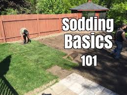 I am laying down new sod, for customers, my watering plan goes like this: How Not To Lay Sod Youtube