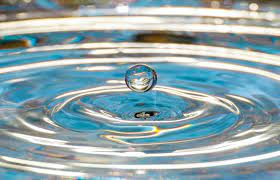 Ripple may open the market with a rate of $ 0.78 and may reach till $1.10 till the middle of 2020. Curious Kids How Do Ripples Form And Why Do They Spread Out Across The Water