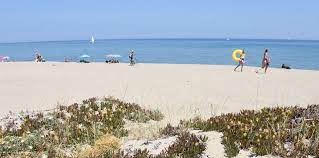 La plus importante, perpignan, est aussi la préfecture, elle se trouve au centre de la plaine du roussillon, un peu vers l'est. Campingplatz Frankreich Mittelmeer Pyrenees Orientales áƒ Le Palais De La Mer