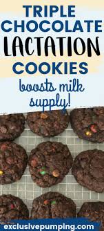 Triple Whammy Triple Chocolate Lactation Cookie Recipe Recipe In 2020 Lactation Cookies Lactation Cookies Recipe Lactation Cookies Easy