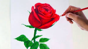 Pin On Colored Pencil Flowers