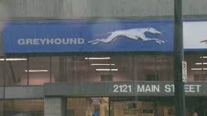 We did not find results for: Greyhound To Stop Allowing Immigration Checks On Buses