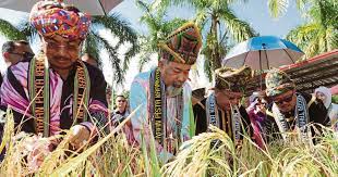 Pesta kaamatan atau nama lain iaitu (tadau kaamatan) atau di dalam bahasa kadazan magavau merupakan upacara perayaan khas untuk menghormati bambazon iaitu untuk menghormati semangat padi. Celebrating Unity Diversity