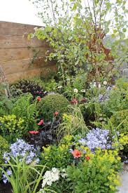 Tom thumb pharmacy opening hours. Ellie Richardson Author At Commercial Nursery Johnsons Of Whixley Home Johnsons Of Whixley