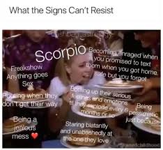 Scorpio Meme Astrology Meme Zodiac Zodiac Capricorn Capricorn Capricorn Meme