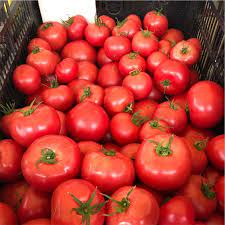 Check spelling or type a new query. Japanese Momotaro Tomatoes Information And Facts