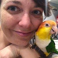 Wesley Acker, MD, 2701 Sunset Ridge Dr, Ste 200, Rockwall, TX 75032, US