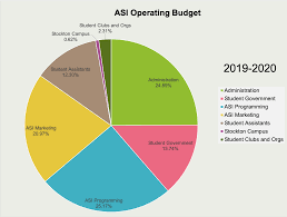 budget audits california state university stanislaus