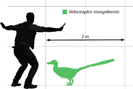 updating all dinosaur comparison charts with jurassic