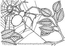 If you have webs around your house, you may be able to identify what spiders are lurking in the shadows, even without seeing them directly. Spider Web Coloring Sheet The Green Dragonfly