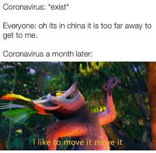 Pin On Madagaskar Amfibieen