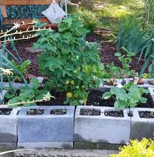 It's best to limit the width of the bed to 4 feet, so you can easily reach the middle from either side for planting, weeding, and harvesting. Raised Bed Vegetable Garden Concrete Blocks Planter For Small Spaces