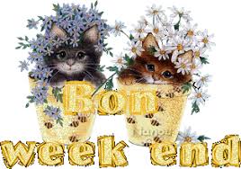 Résultat de recherche d'images pour "gifs animés bon week end humour"