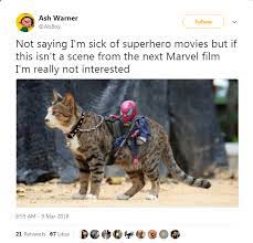 16 Animal Tweets That Made Us Laugh This Week Superhero Movies Animals Marvel Funny
