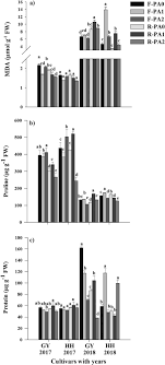 Hg 907/2017 revisal 2019 salarisare 2019 codul muncii 2019 registrul salariatilor 2019. Application Of Inorganic Passivators Reduced Cd Contents In Brown Rice In Oilseed Rape Rice Rotation Under Cd Contaminated Soil Sciencedirect