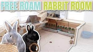 Free Roam Bunny Room Tour Youtube