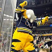 They play in the central division of the western conference in the national hockey league (nhl). List Of Nhl Mascots Wikipedia