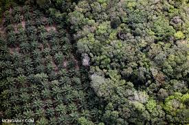 Recommended practices for storage and transport of edible oils and fats. Ag Giant Adm Boosts Greener Palm Oil